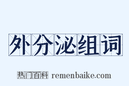 外分泌组词是什么意思的图片